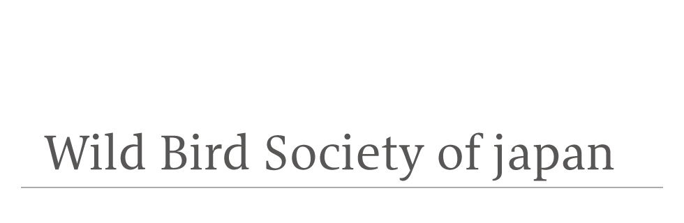Wild Bird Society of japan